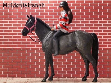 Woman in winter clothes on black standing horse